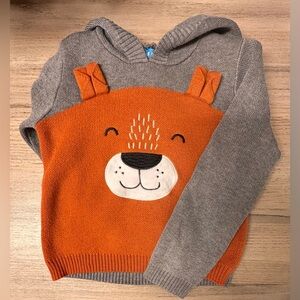 Boy Hooded Sweater